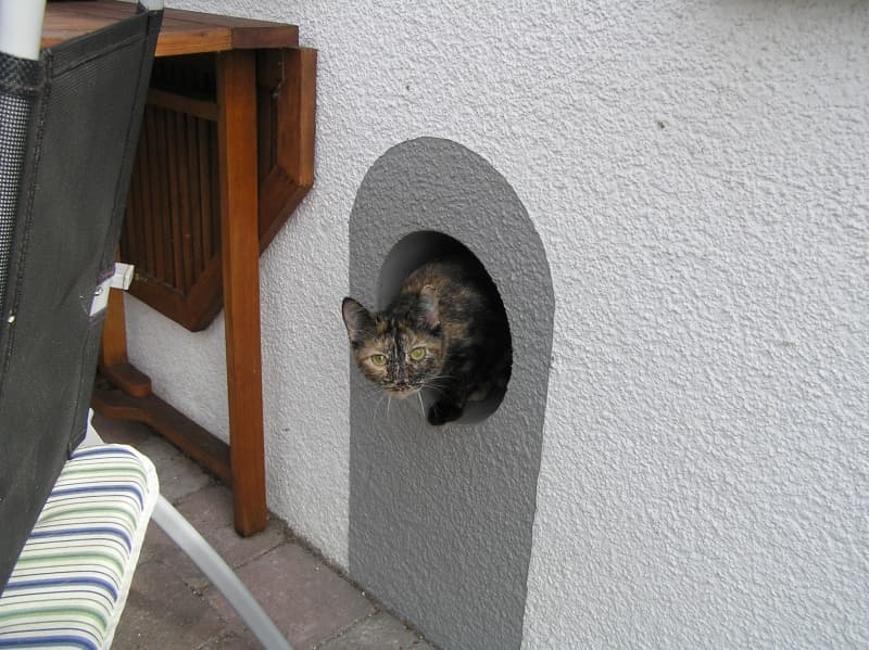 Blick in das naturnah angelegte Freigehege von Kittys Holidays