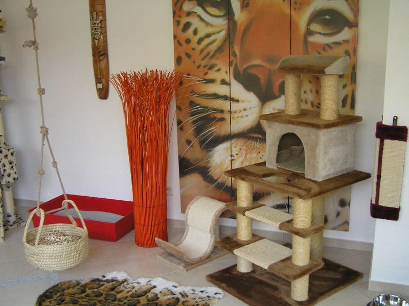 Innenraum der Katzenpension mit Kratzbaum und Ruheplätzen
