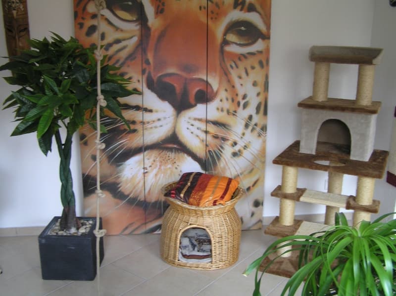 Innenraum mit großem Leoparden-Wandbild, Kratzbaum und Korbhöhle